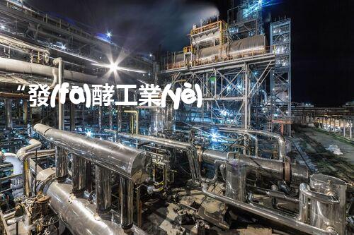 “發(fā)酵工業(yè)廢水處理，綠色創(chuàng)新引領(lǐng)環(huán)保新篇章”